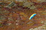Ozone Swift 4 (PAST MODEL)