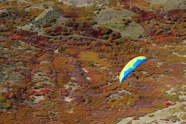 Ozone Swift 4 (PAST MODEL)