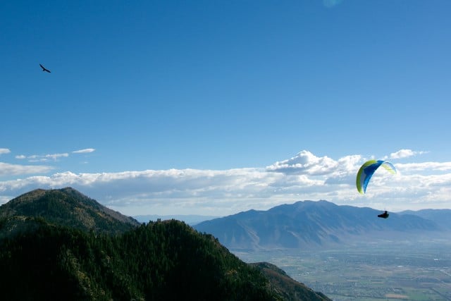 Ozone Swift 4 (PAST MODEL)