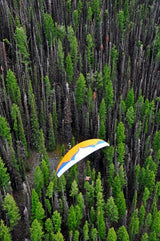 Ozone Swift (PAST MODEL)