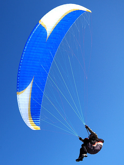 Niviuk Artik 2 (PAST MODEL)