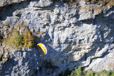 Ozone Buzz Z3 (PAST MODEL)