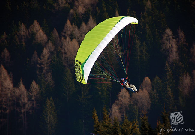 Gin Bobcat speed wing