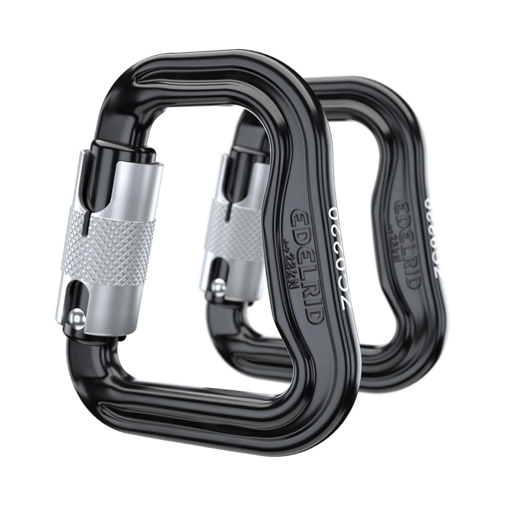 Advance SUCCESS 5: Main Protector (including in the package)