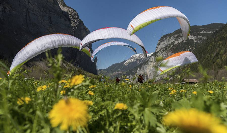 Advance OMIKRON (PAST MODEL)