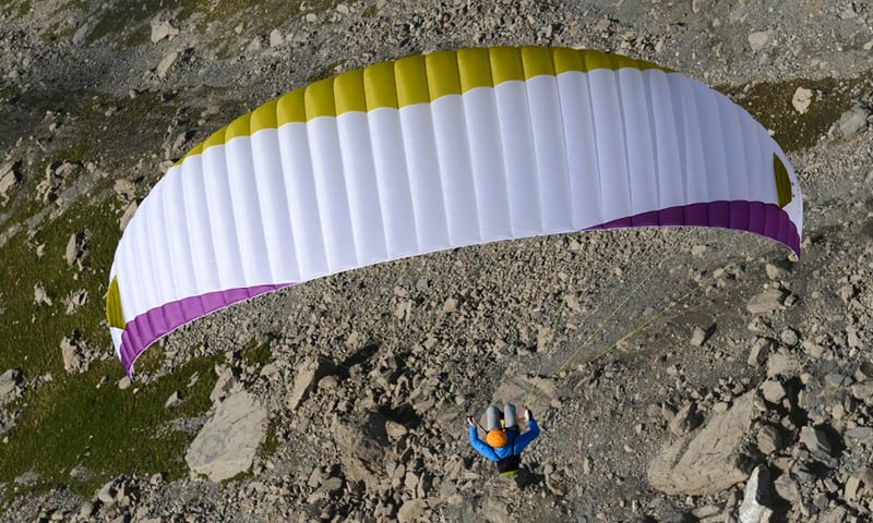 Advance PI (PAST MODEL)