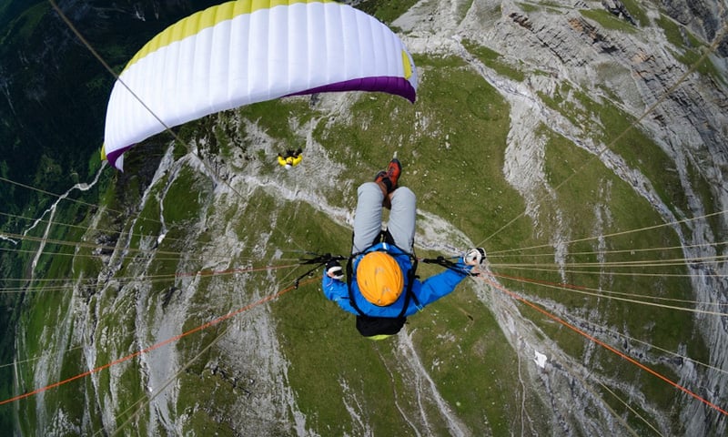 Advance PI (PAST MODEL)