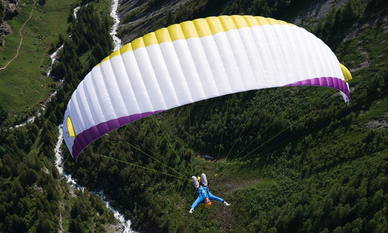 Advance PI (PAST MODEL)