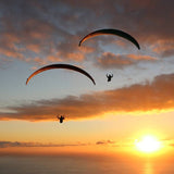 Advance SIGMA 10 (PAST MODEL)