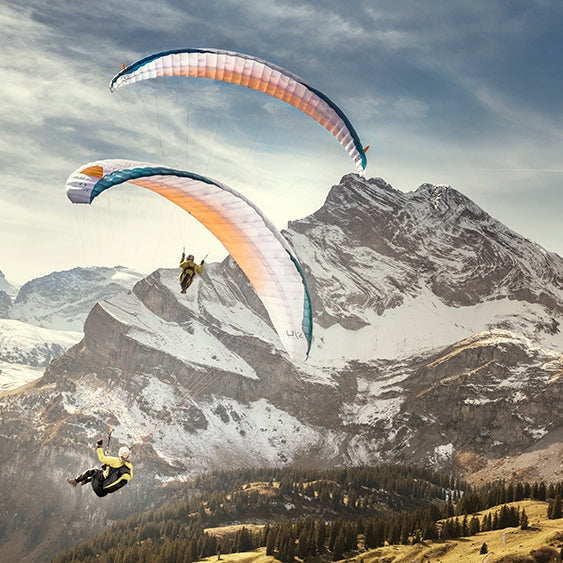 Advance PI 2 (PAST MODEL)