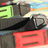 BGD BLIZZARD: Risers