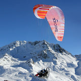 BGD DUAL LITE MOTOR: Prototype colour