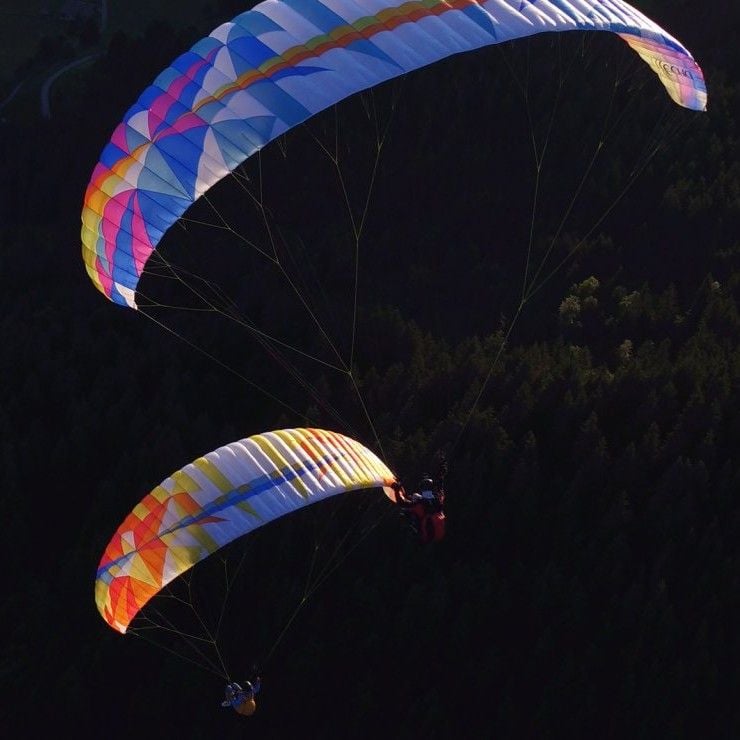 BGD ECHO (PAST MODEL)