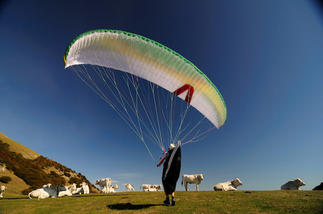 Skywalk Chili 2 (PAST MODEL)