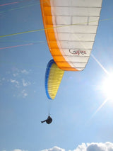 Airwave Gecko (PAST MODEL)