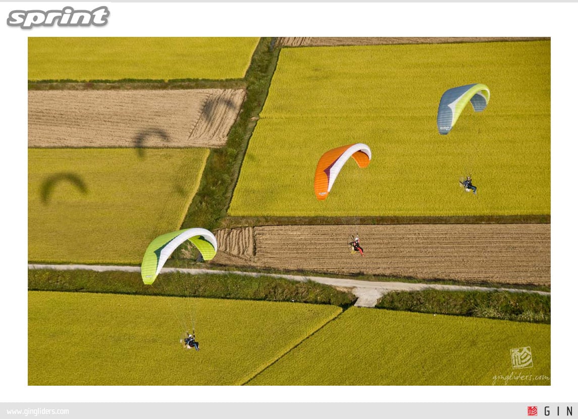 Gin Sprint (PAST MODEL)