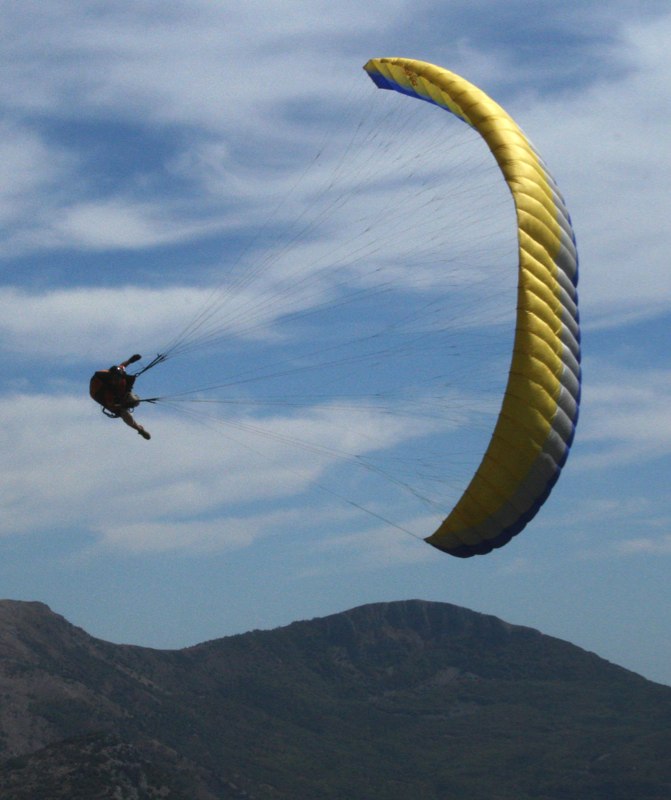 Airwave Gecko (PAST MODEL)