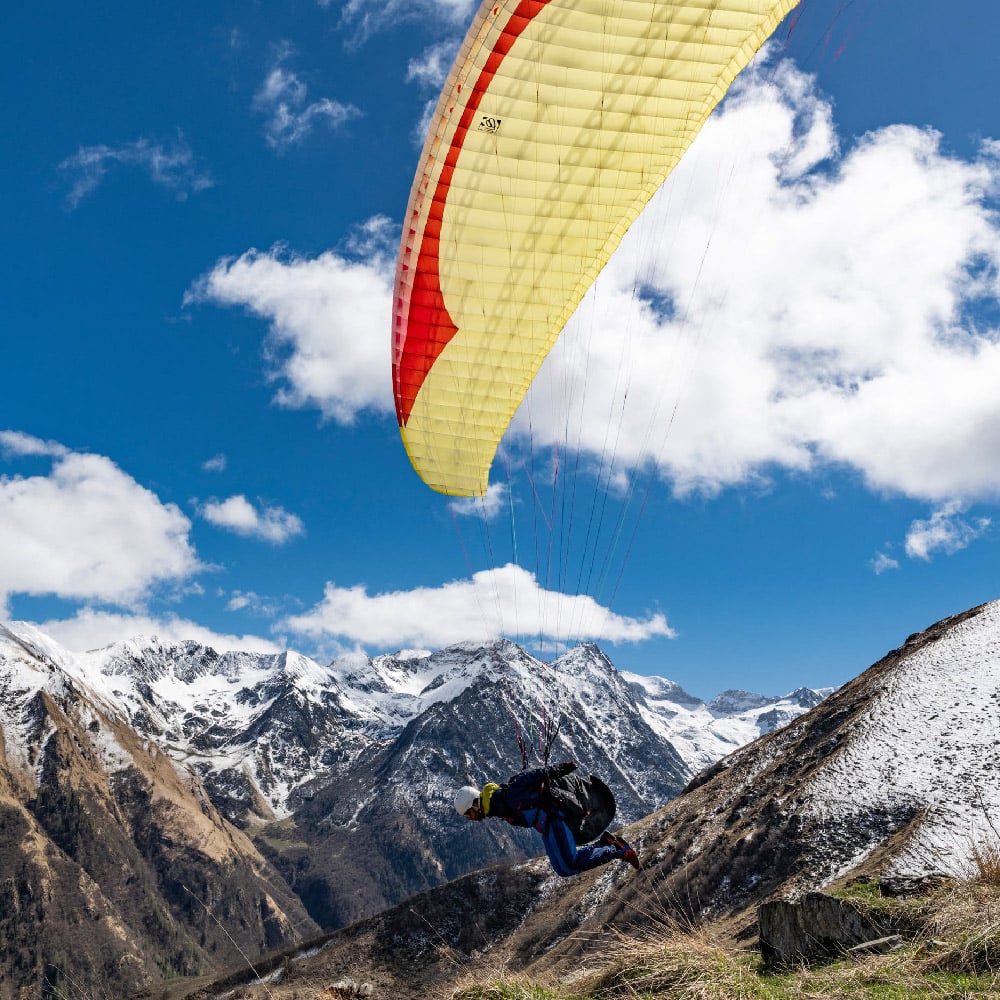 Gin Calypso 2: Lemon colour