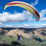 Gin Calypso 2: Lemon colour