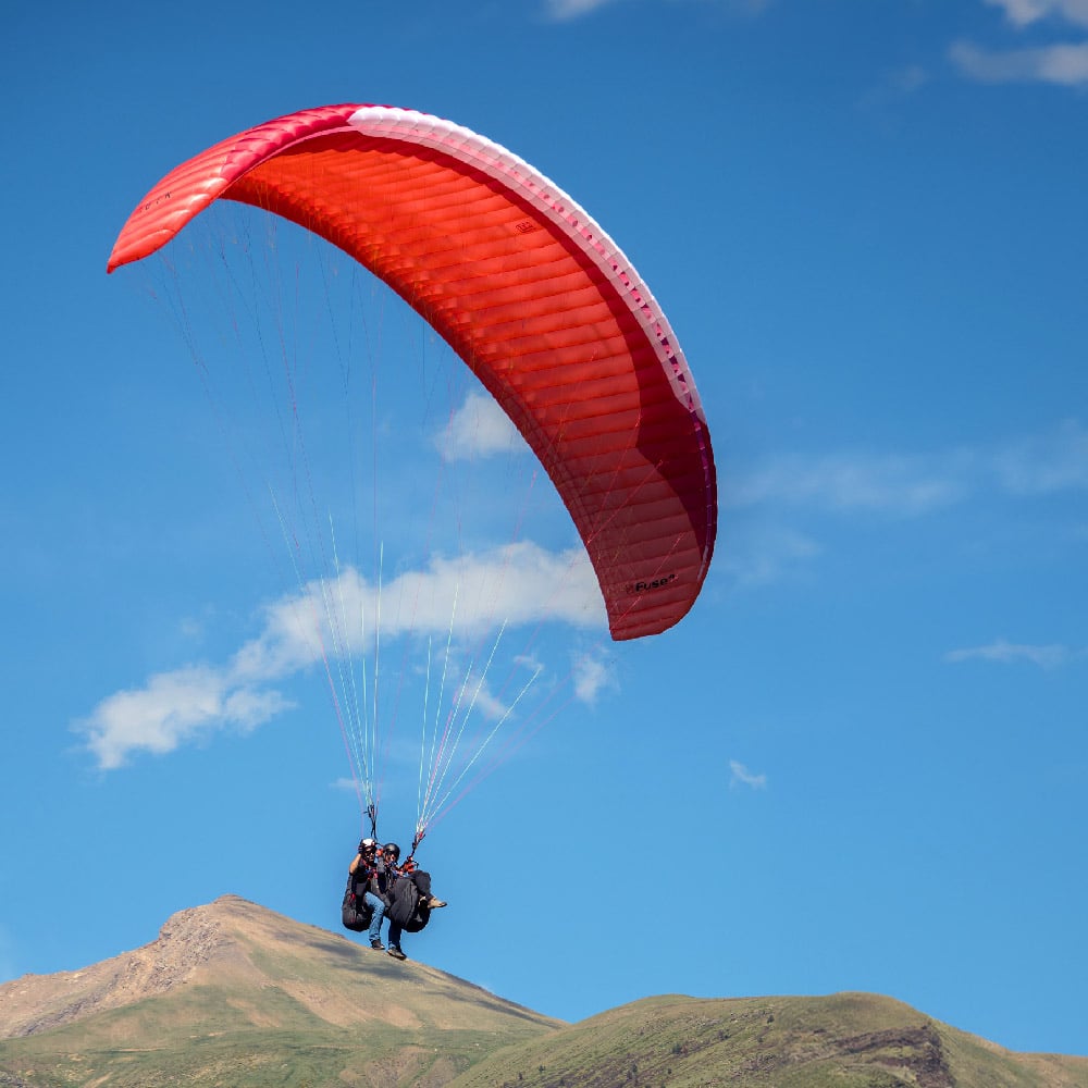 Gin Safari 3 Tandem Passenger Harness