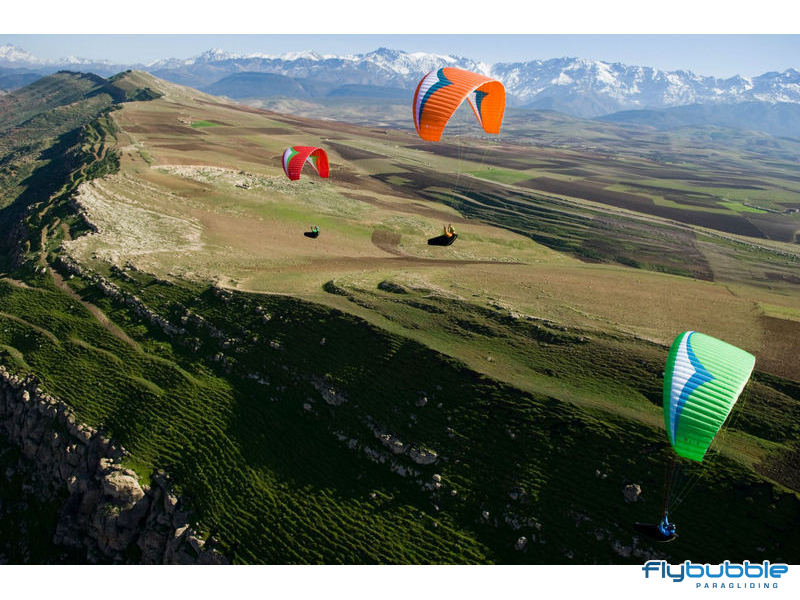 Gin Gliders Atlas - Red Apple