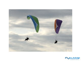 Gin Gliders Vantage - Mojito and Plum