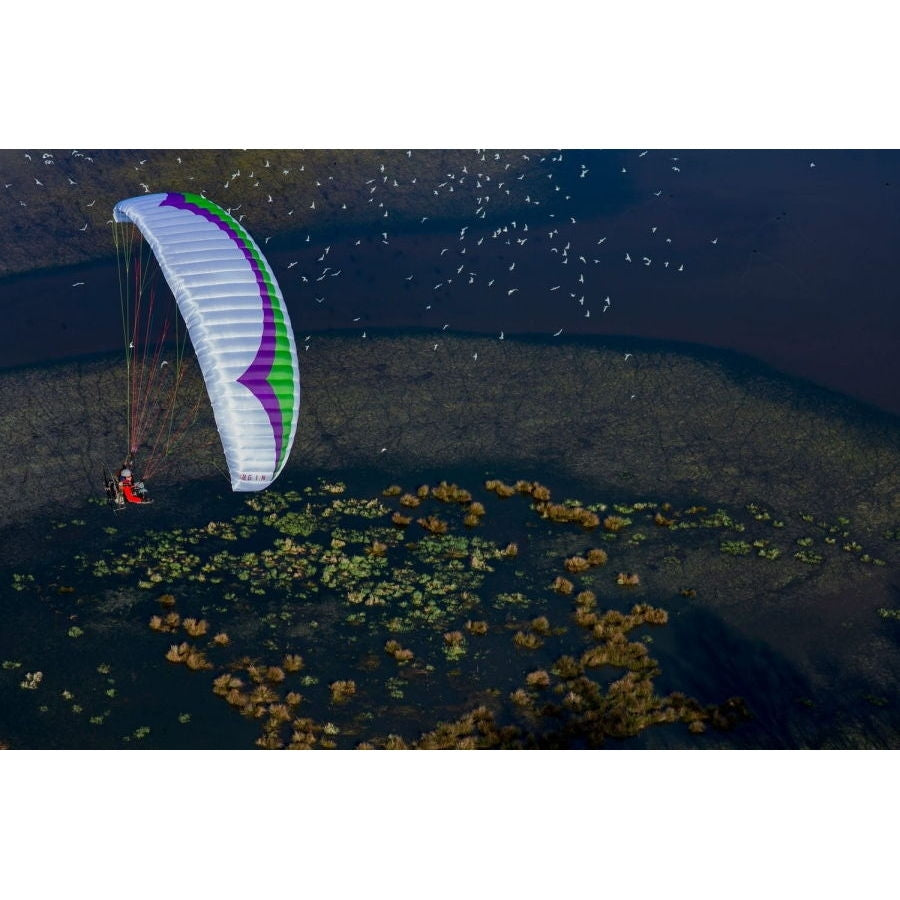 Gin Pegasus 2 (PAST MODEL)