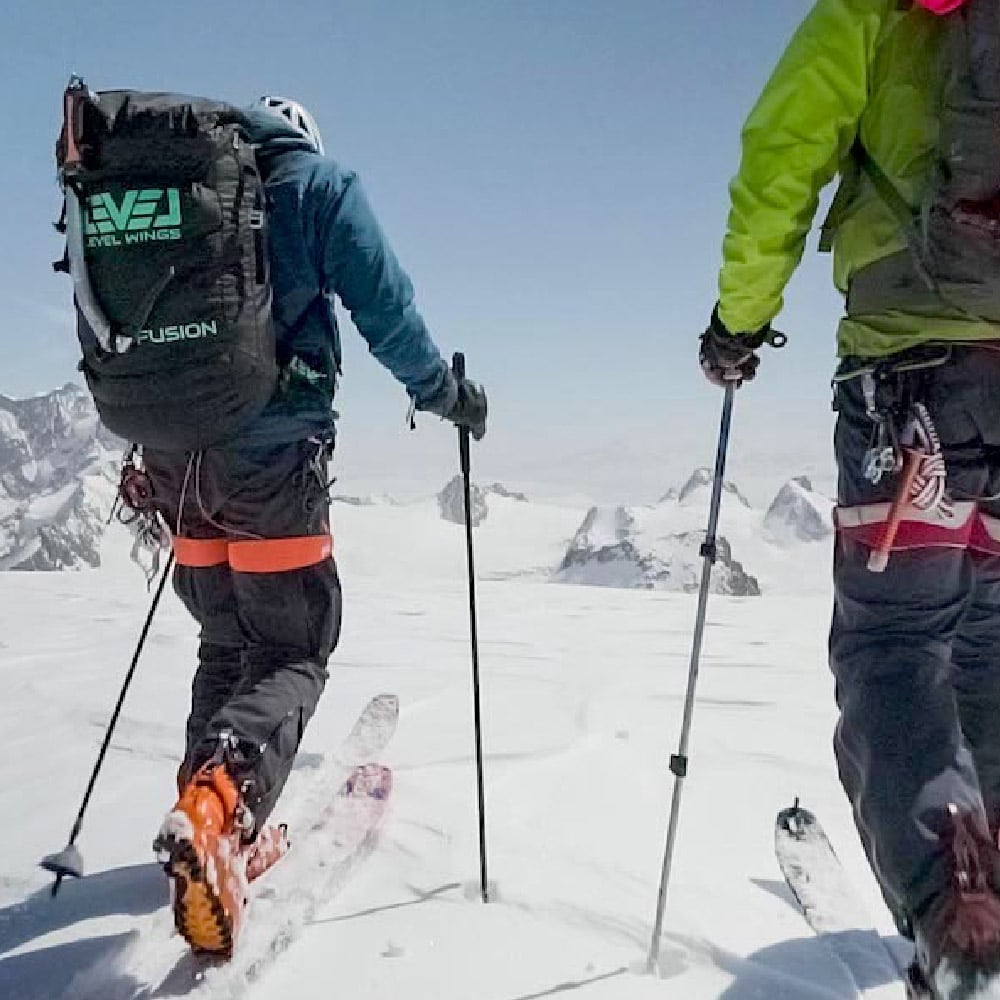 Level Wings Fusion V3