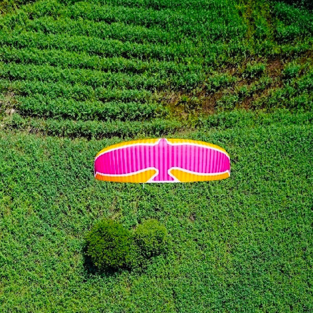 Level Wings WIND-FORCE