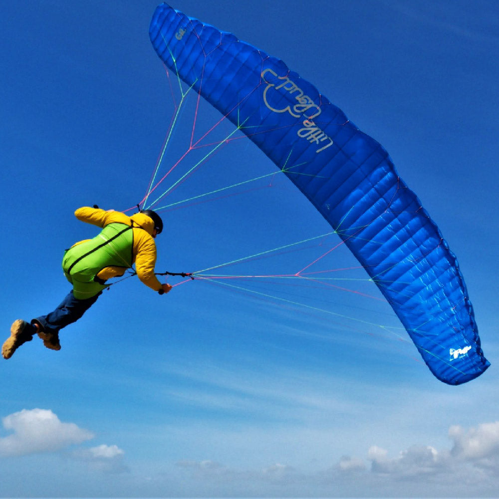 LittleCloud Puffin: Blue colour