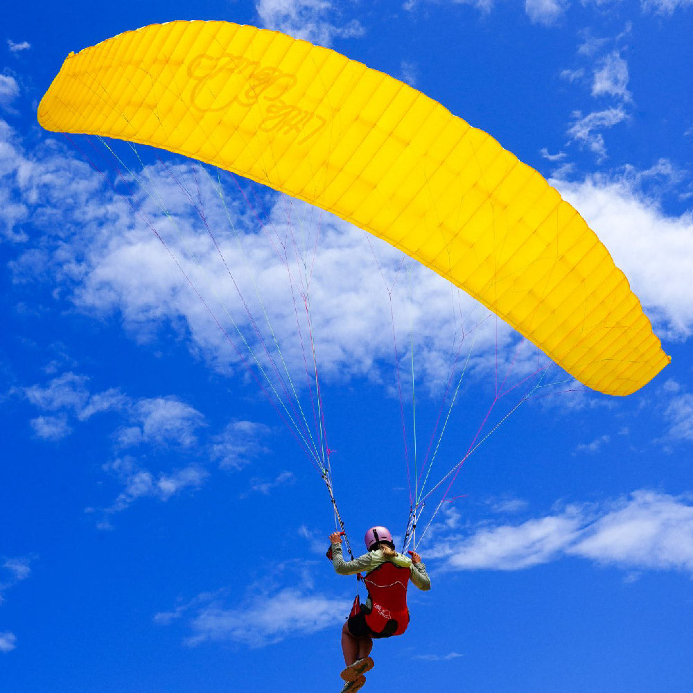 LittleCloud Puffin V2