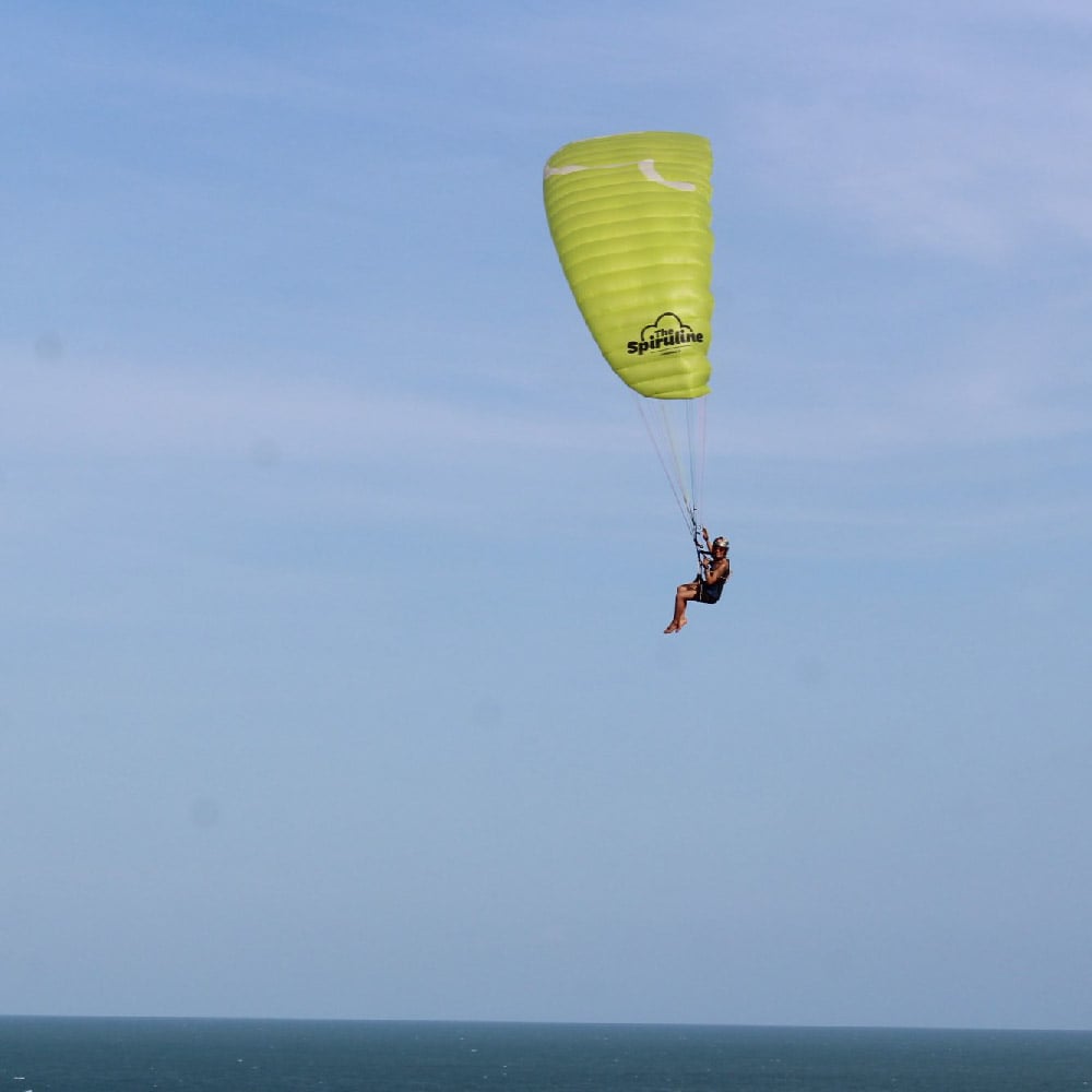 LittleCloud The Spiruline: colour Lime