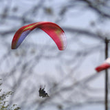 Niviuk Takoo 5 (PAST MODEL)