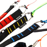 Optional: 'Student Riser'