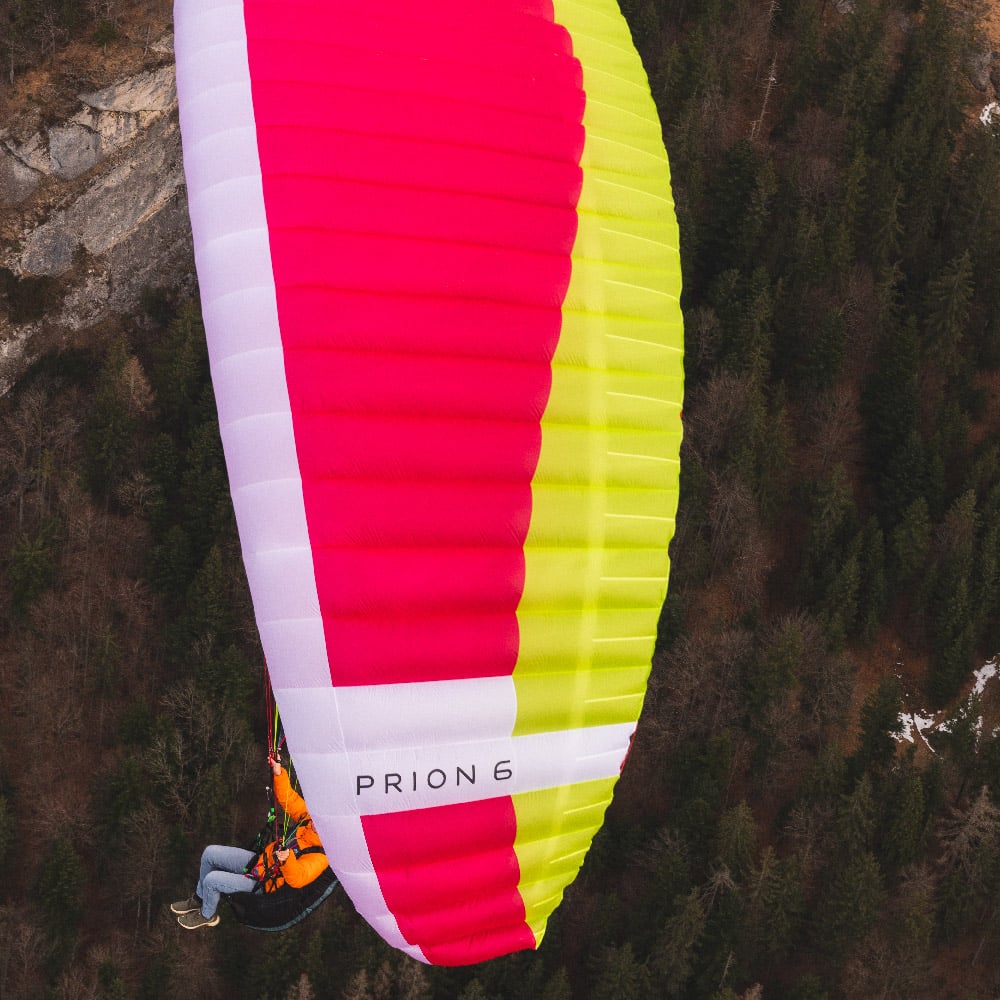 Nova PRION 6 - sangria