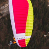 Nova PRION 6 - sangria