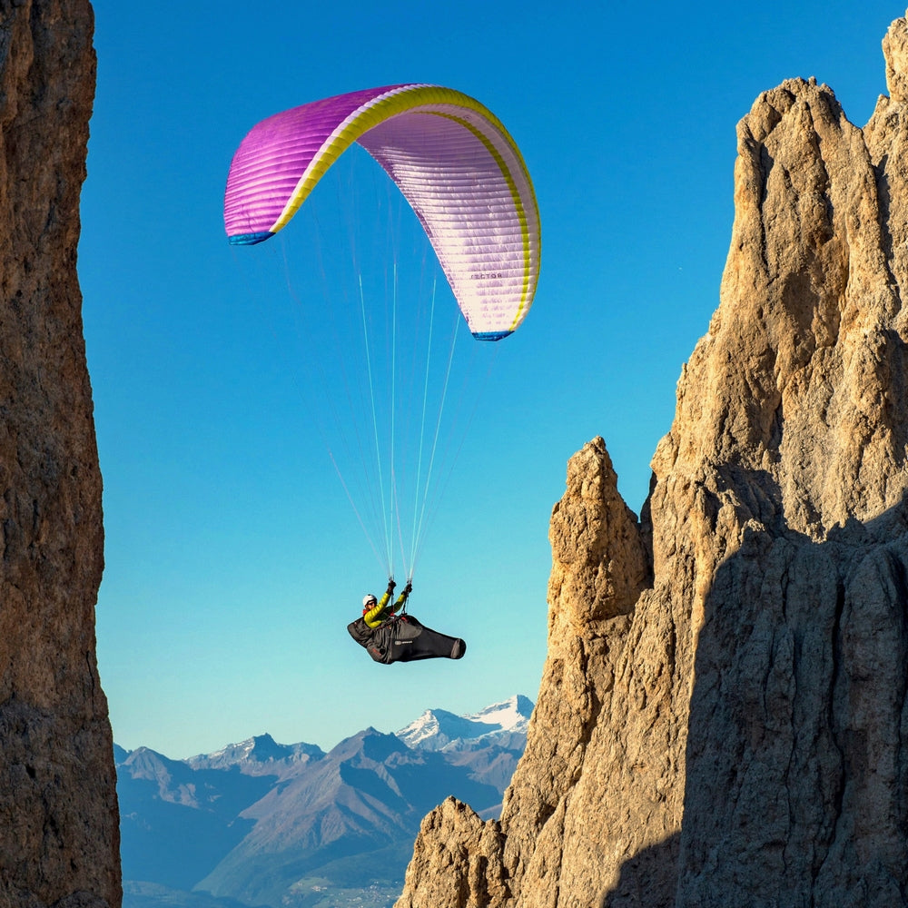 Nova Sector | Purple