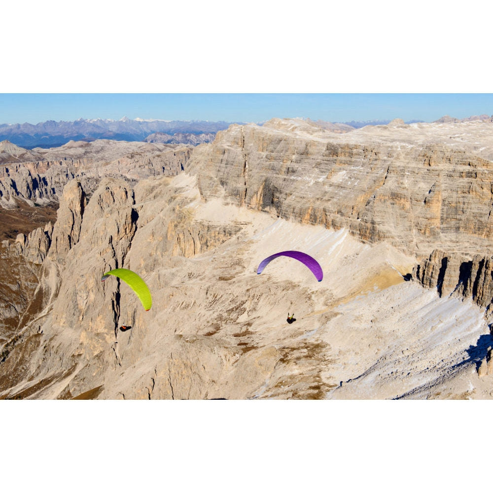 Nova Sector | Lime & Purple