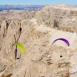 Nova Sector | Lime & Purple