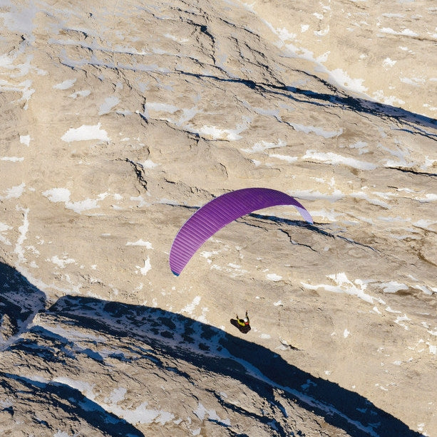 Nova Sector | Purple