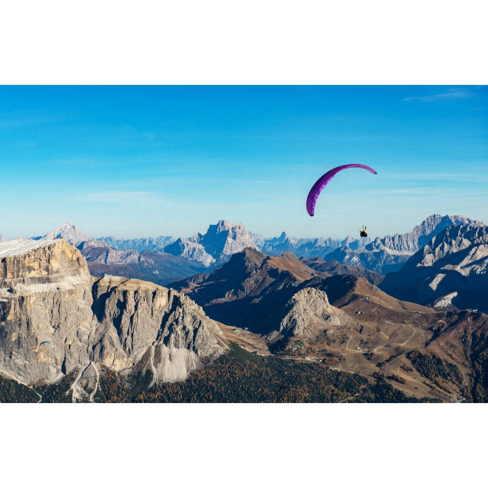 Nova Sector | Purple