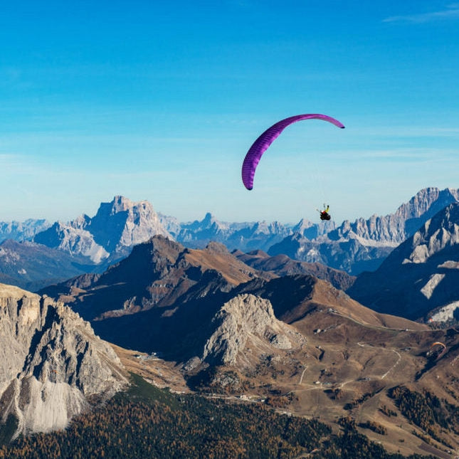 Nova Sector | Purple