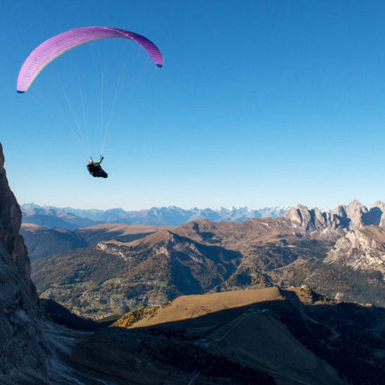 Nova Sector | Purple