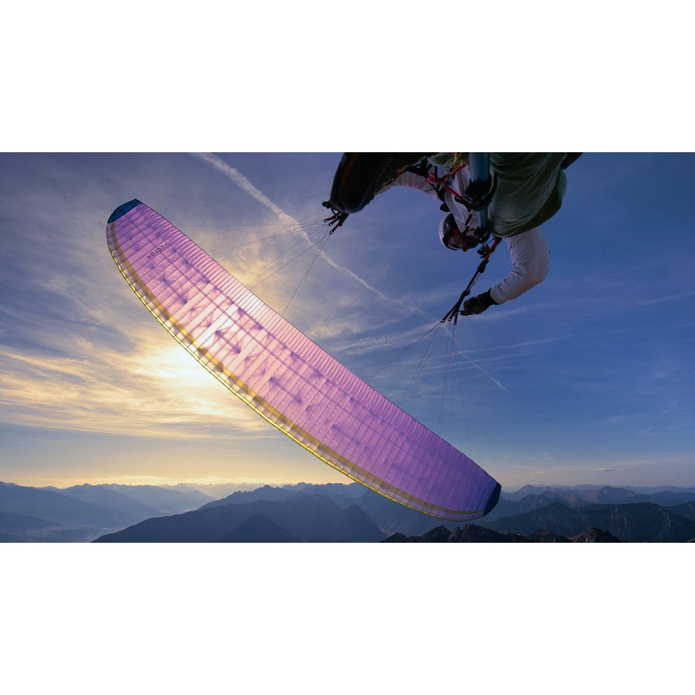 Nova Sector | Purple