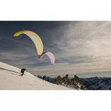 Nova Sector | Lime & Purple