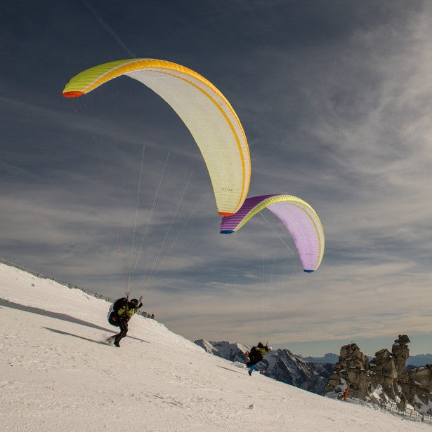 Nova Sector | Lime & Purple