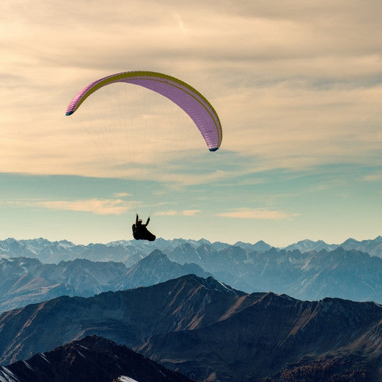 Nova Sector | Purple