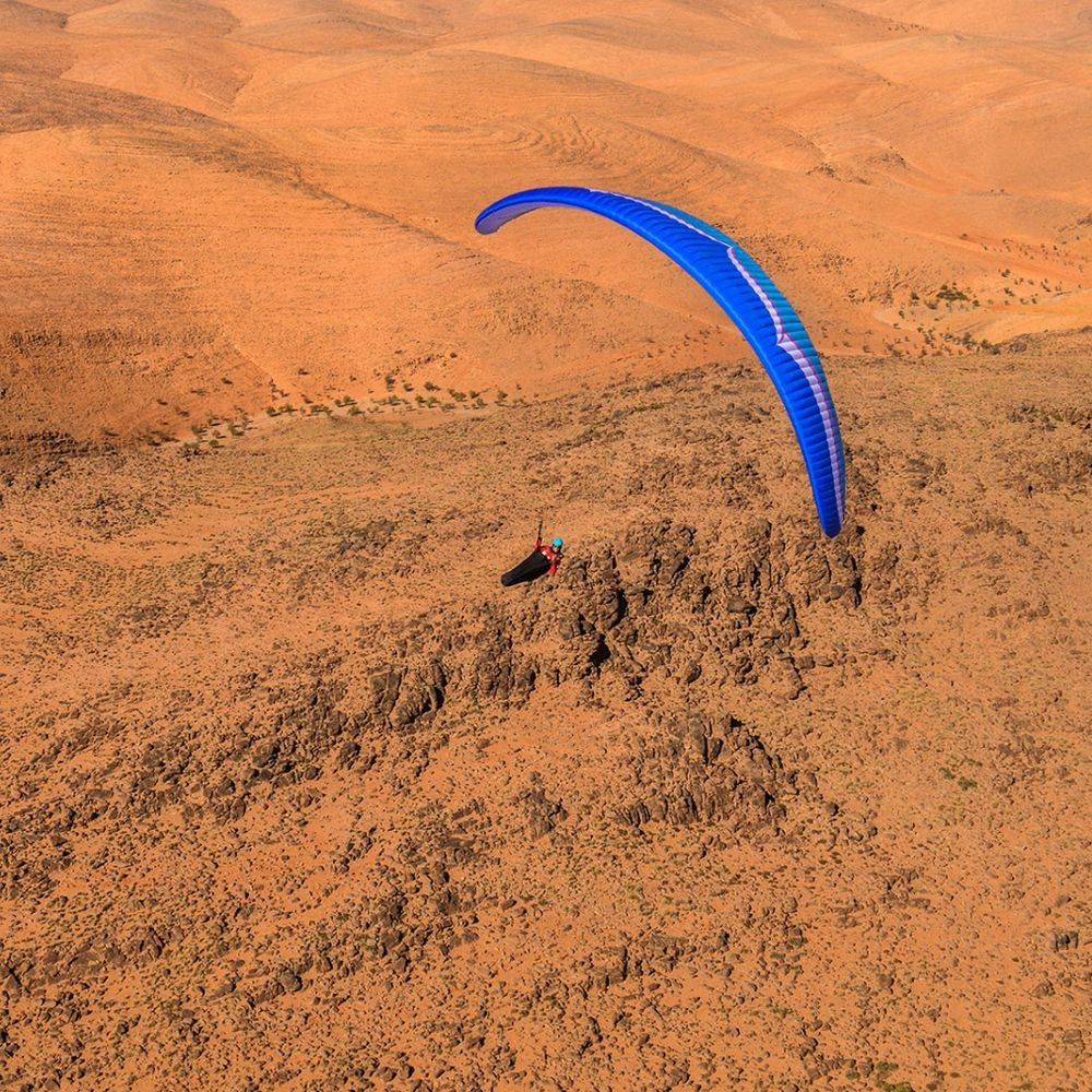 Ozone LM7 (PAST MODEL)
