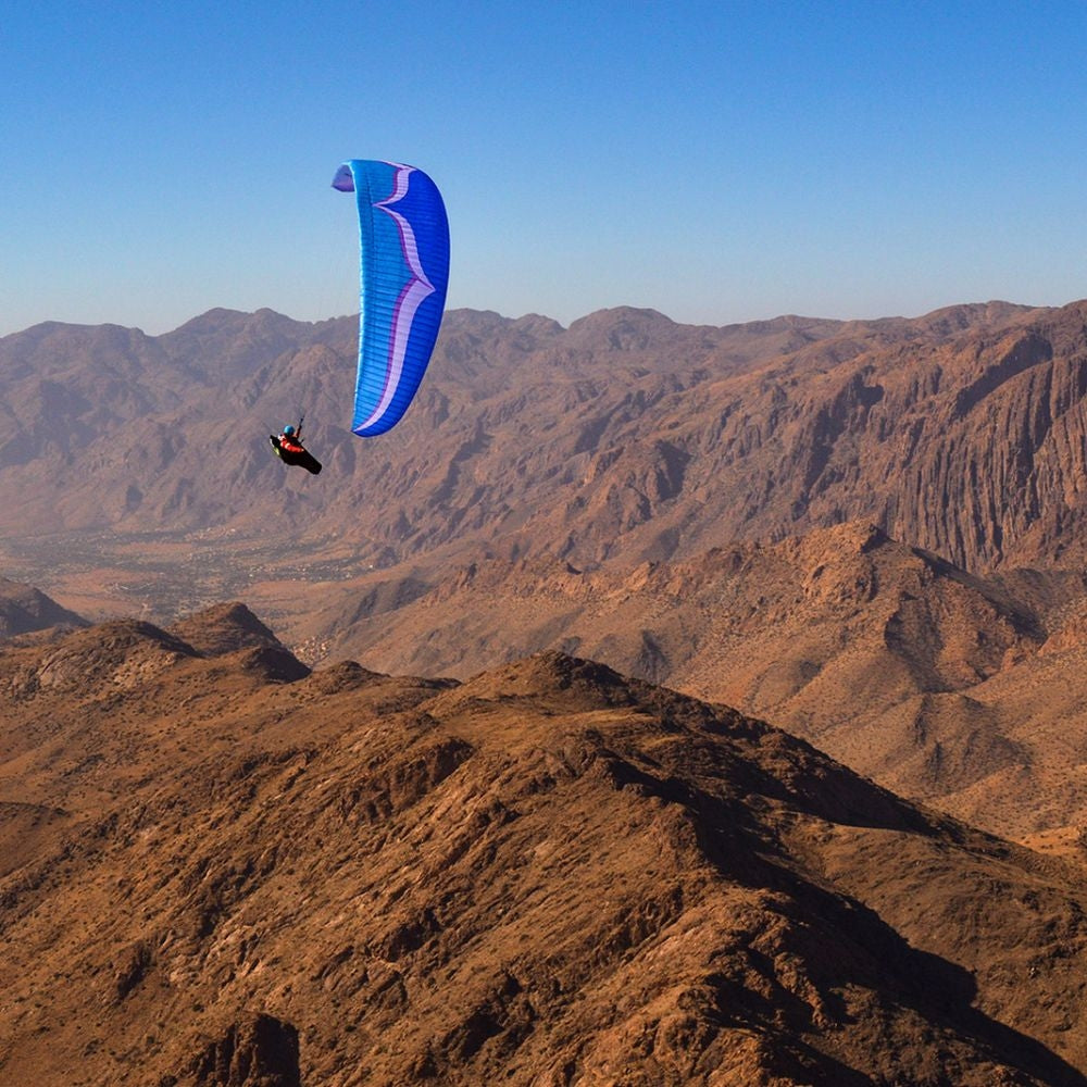 Ozone LM7