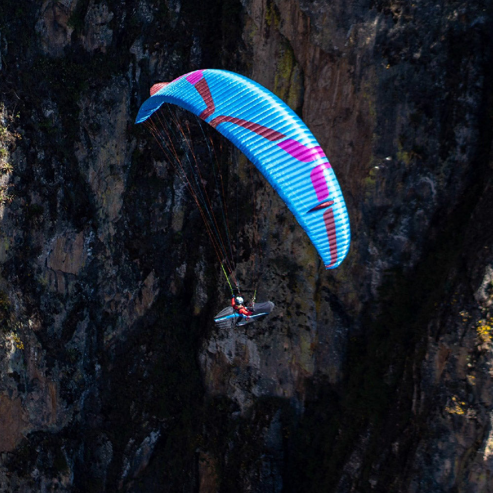 Previous standard colour: LTM/L